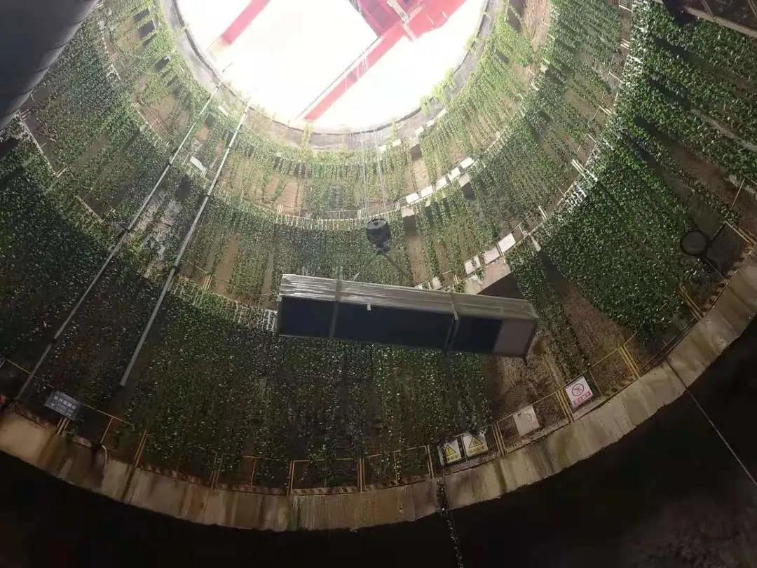 յ